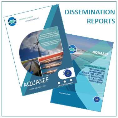 Dissemination reports